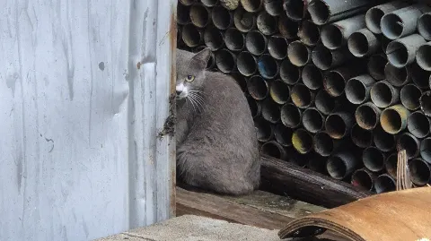 정모 대표 이미지