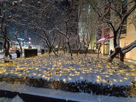 정모 대표 이미지