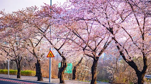 정모 대표 이미지