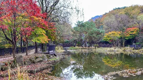 정모 대표 이미지