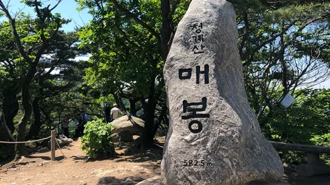 정모 대표 이미지