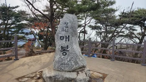 정모 대표 이미지