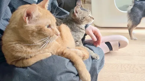 정모 대표 이미지