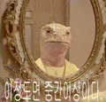 member face