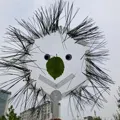 member face