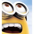 member face