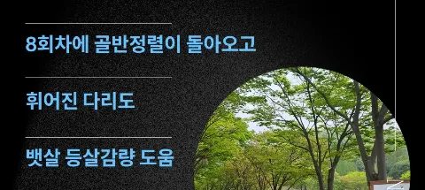 모임 대표 이미지