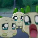 member face