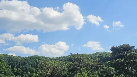 정모 대표 이미지