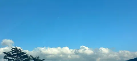 모임 대표 이미지