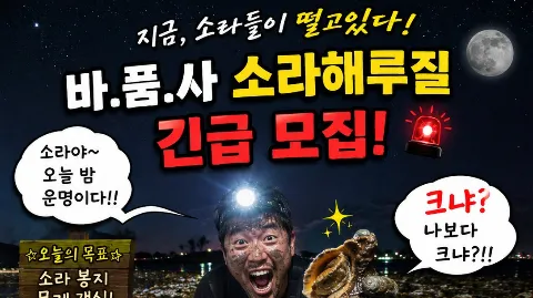 정모 대표 이미지