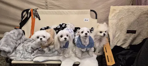 모임 대표 이미지