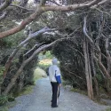 member face