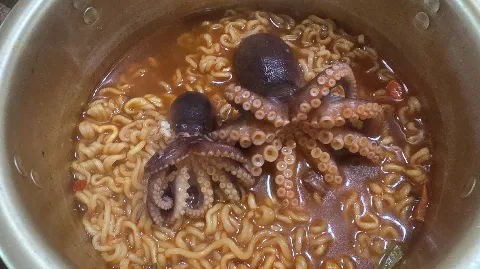 정모 대표 이미지