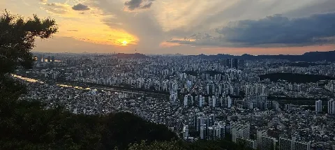 모임 대표 이미지