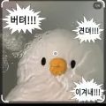 member face