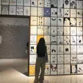 member face