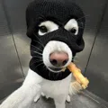 member face