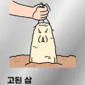 member face