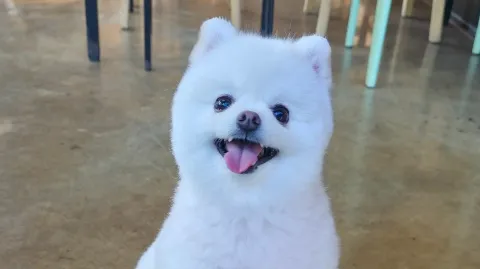 정모 대표 이미지