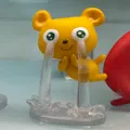 member face