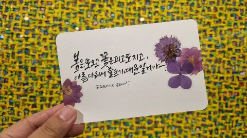 정모 대표 이미지