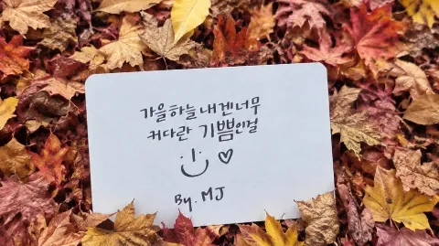 정모 대표 이미지