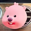 member face