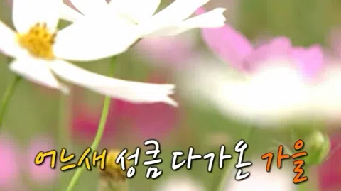 정모 대표 이미지