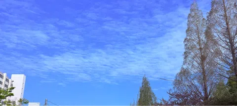 모임 대표 이미지