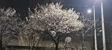 모임 대표 이미지