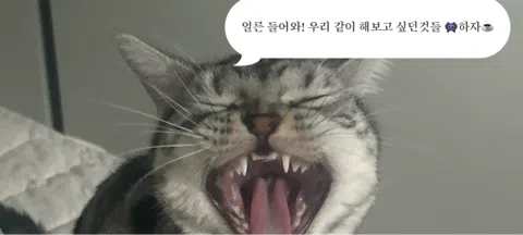모임 대표 이미지