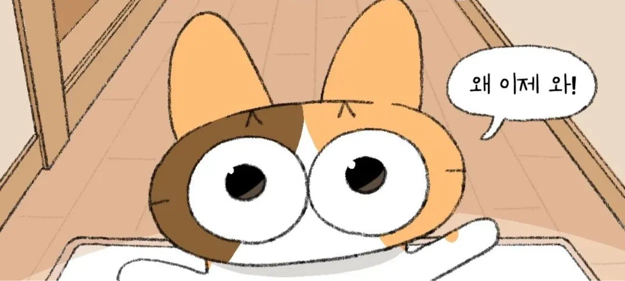 모임 이미지 1