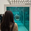 member face
