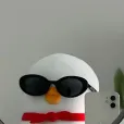 member face