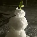 member face