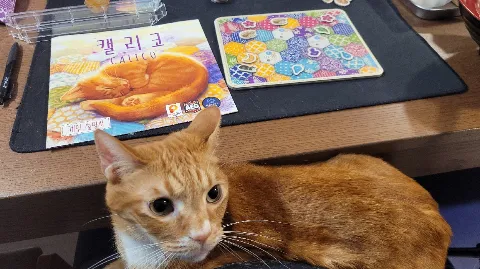 정모 대표 이미지