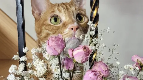 정모 대표 이미지