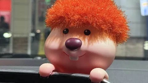 정모 대표 이미지