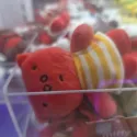 member face