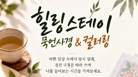 정모 대표 이미지