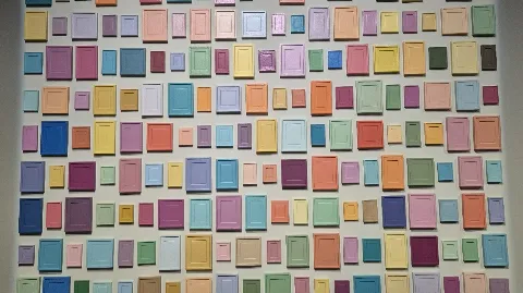 정모 대표 이미지