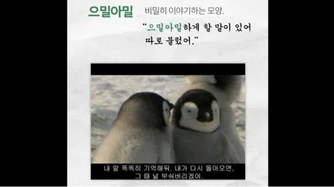 정모 대표 이미지