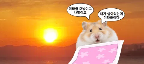 모임 대표 이미지