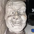 member face