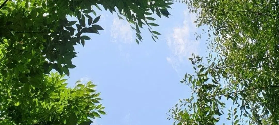모임 이미지 1