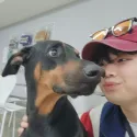 member face