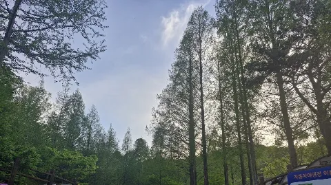 정모 대표 이미지