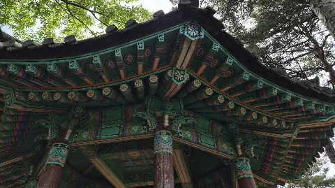 정모 대표 이미지