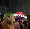 member face